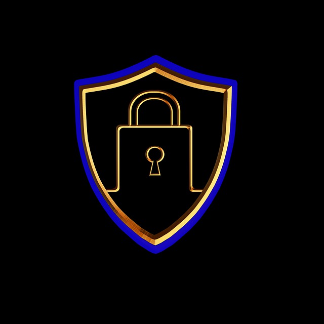 La fin du « Privacy Shield »